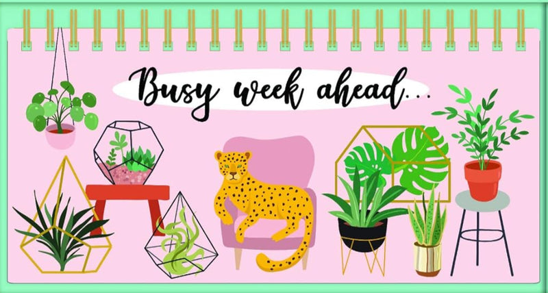 Robert Frederick Weekly Planner – Urban Jungle Design | Oman’s Lowest Price!
